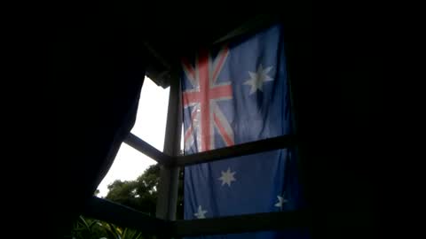 Warwick online show from January 2025 08:41:01 AM