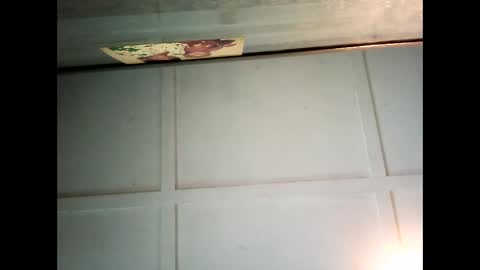 Warwick online show from January 2025 12:25:02 AM