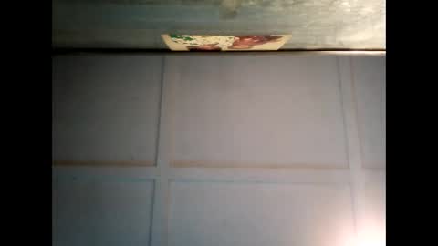 Warwick online show from January 2025 07:53:02 AM