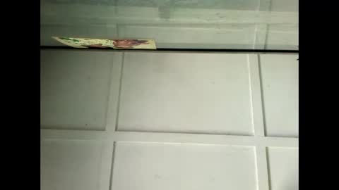 Warwick online show from January 2025 04:05:01 AM