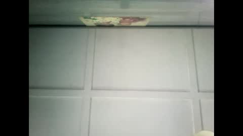 Warwick online show from February 2025 10:39:01 PM