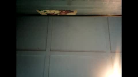 Warwick online show from February 2025 04:46:02 AM