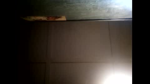 Warwick online show from February 2025 10:07:02 AM