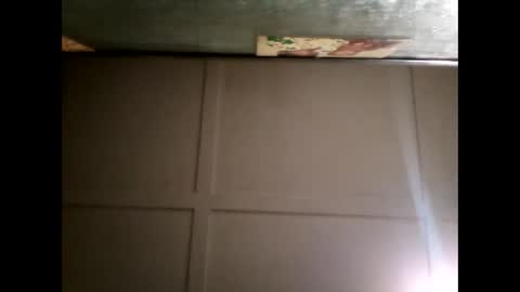 Warwick online show from February 2025 10:31:01 AM