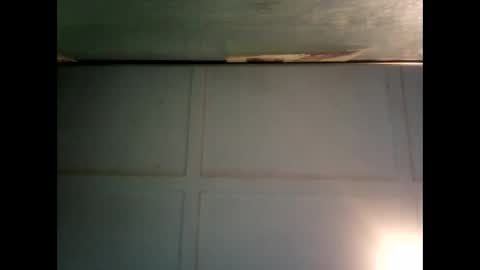 Warwick online show from February 2025 07:15:01 AM