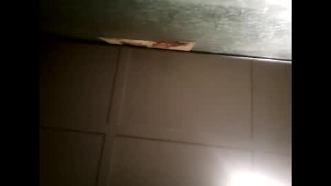 Warwick online show from February 2025 10:43:02 AM