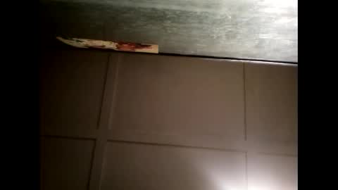 Warwick online show from February 2025 11:01:02 AM