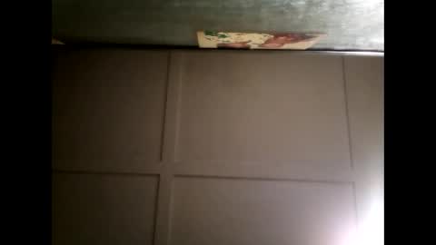 Warwick online show from February 2025 11:08:02 AM