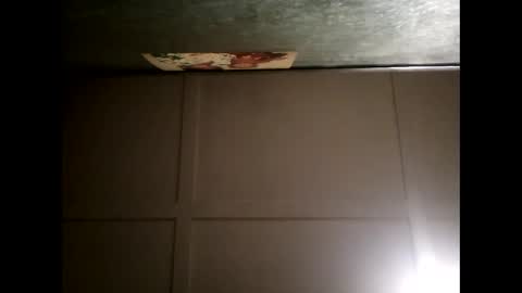 Warwick online show from February 2025 01:03:01 PM