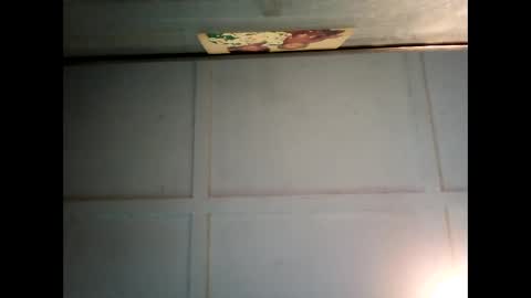 Warwick online show from March 2025 06:37:01 AM