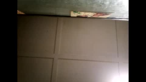 Warwick online show from March 2025 11:22:02 AM