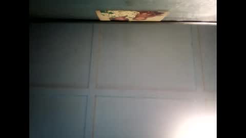 Warwick online show from March 2025 04:38:02 AM