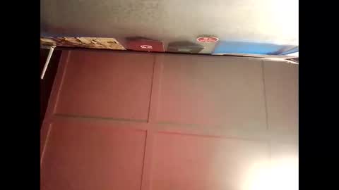 Warwick online show from September 2025 08:36:02 AM