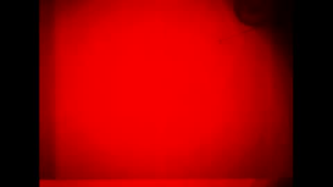 Warwick online show from September 2025 11:44:02 AM