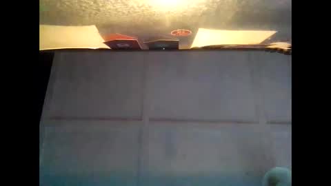 Warwick online show from October 2025 07:28:02 AM