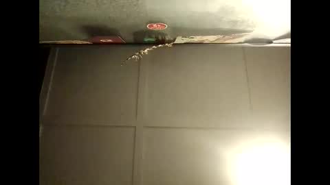 Warwick online show from October 2025 08:12:01 AM