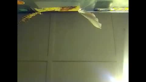 Warwick online show from October 2025 09:37:01 AM