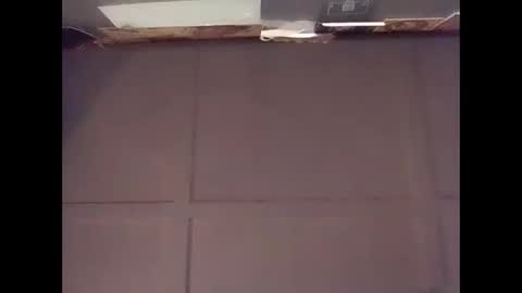 Warwick online show from November 2025 07:28:01 AM