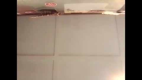 Warwick online show from November 2025 02:43:01 AM