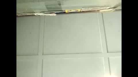 Warwick online show from November 2025 03:28:01 AM