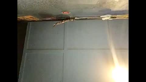 Warwick online show from December 2025 06:51:01 AM