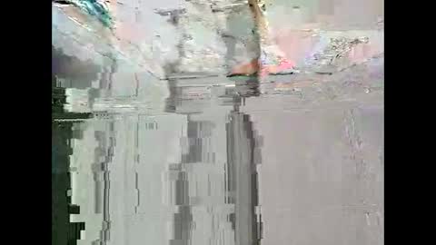 Warwick online show from February 2026 12:04:02 AM