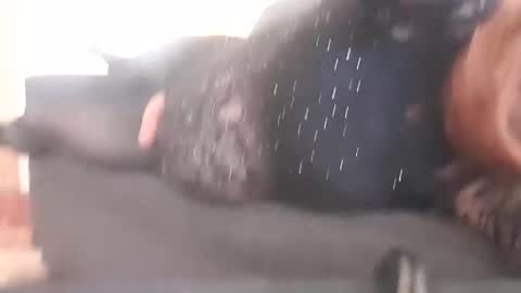 Snapshot of full4cefull chatting on December 2024 02:17:01 AM Pizzaz online show from December 2024 02:17:01 AM