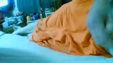 fultonstreet196860 online show from November 2025 02:22:02 AM