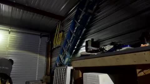 fun2bemade online show from November 2025 03:53:02 AM