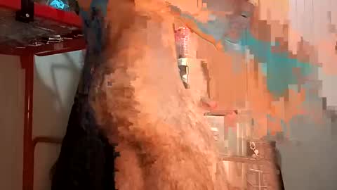 Italian men online show from February 2025 02:24:01 PM