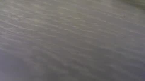 funone8848 online show from September 2025 01:42:02 AM