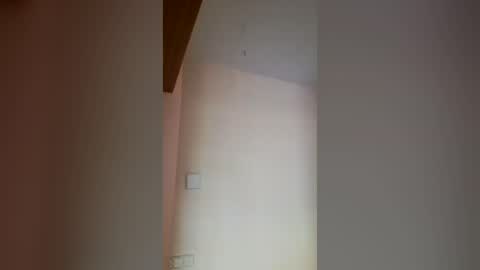 Gabi online show from July 2026 11:17:01 AM