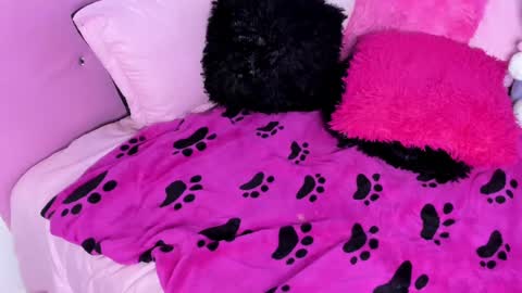 Snapshot of gabyye_capprins chatting on February 2025 10:19:01 PM gabyye capprins online show from February 2025 10:19:01 PM