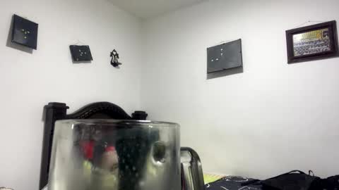 Snapshot of gadiel_sex chatting on October 2025 11:39:01 PM gadiel_sex online show from October 2025 11:39:01 PM