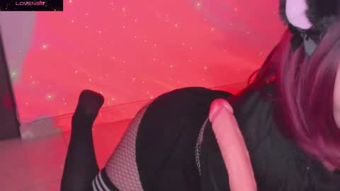 Snapshot of galaxgnn chatting on January 2025 02:48:01 AM PROXIMO SHOW NOVIEMBRE 16 NEXT SHOW NOVEMBER 16 online show from January 2025 02:48:01 AM