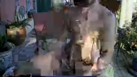 Snapshot of galleguin1 chatting on June 2026 06:39:01 PM galleguin1 online show from June 2026 06:39:01 PM