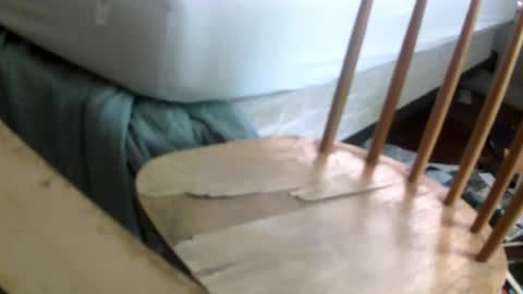 Snapshot of gallo902 chatting on July 2026 08:28:02 PM gallo902 online show from July 2026 08:28:02 PM