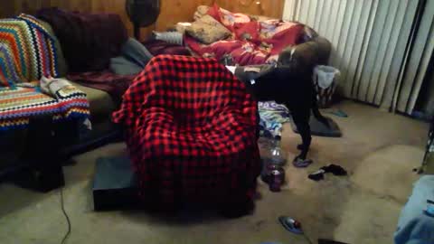 Snapshot of gamerfiend420 chatting on October 2025 01:53:02 AM gamerfiend420 online show from October 2025 01:53:02 AM