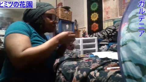 Gardenia online show from February 2025 05:12:01 AM