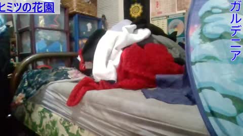 Gardenia online show from March 2025 07:08:02 AM