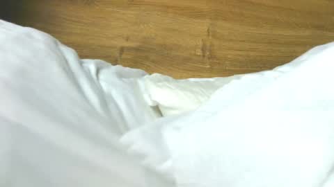 Rose online show from February 2026 08:29:02 AM