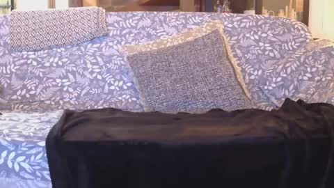 Snapshot of garybaker60 chatting on January 2025 08:47:02 PM Gaz online show from January 2025 08:47:02 PM