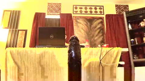 gatewaylaptop2019 online show from March 2025 03:37:02 PM