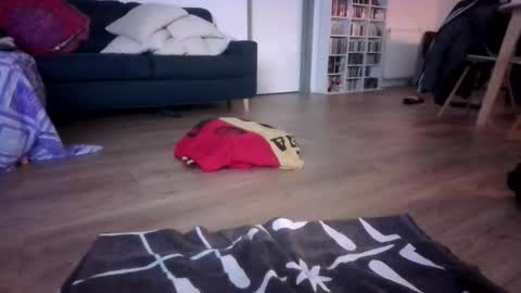 gaypuppychaste online show from December 2025 04:32:01 AM