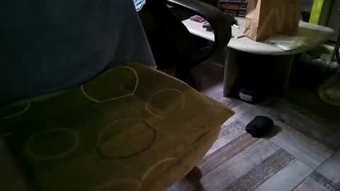 gazdadjoka online show from March 2025 08:51:02 AM