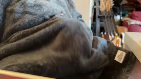 geezerblokeii online show from December 2024 09:13:01 AM