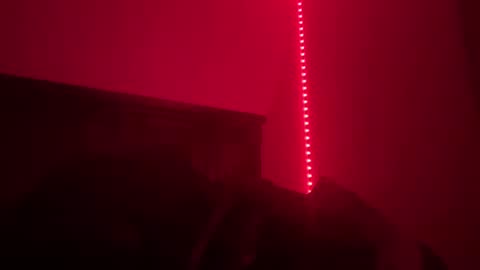 Snapshot of geisha_tara chatting on December 2024 08:51:01 AM Tara online show from December 2024 08:51:01 AM