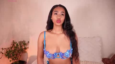    online show from July 2026 02:05:17 AM