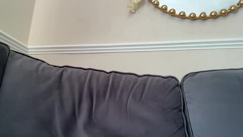 Snapshot of gemmaxox1 chatting on June 2026 09:41:01 AM gemmaxox1 online show from June 2026 09:41:01 AM