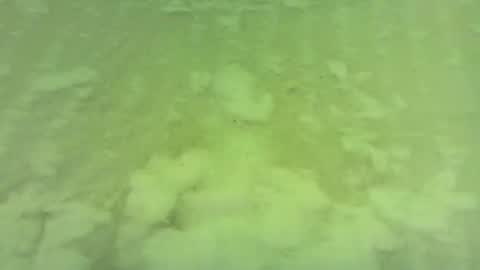 Snapshot of georgempt chatting on June 2026 05:42:02 AM georgempt online show from June 2026 05:42:02 AM